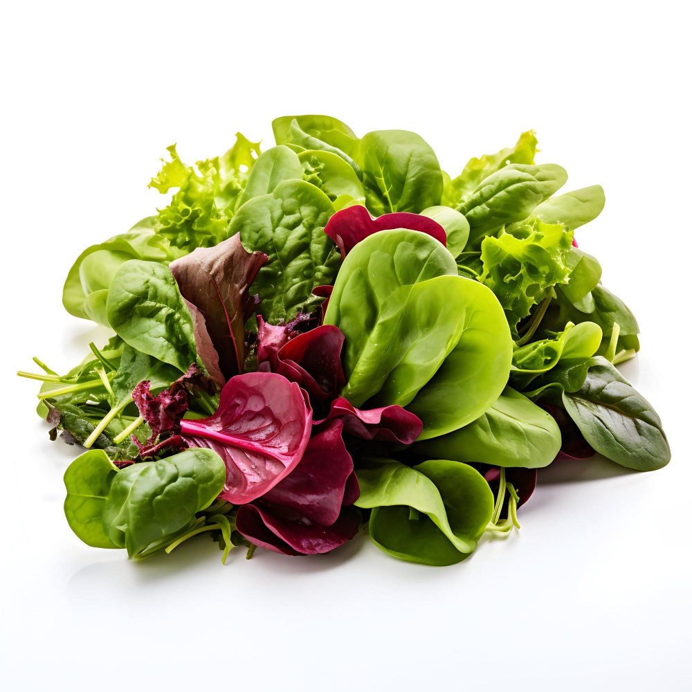 Leafy Romaine Mixed Lettuce – Fresh Crisp Salad Greens Blend